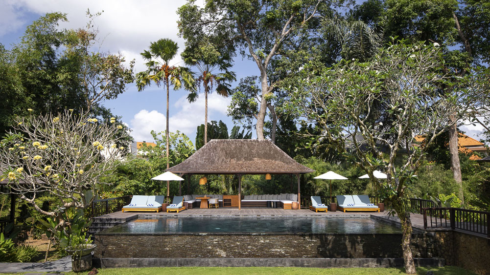 Villa Simona Oasis - Poolside greenery